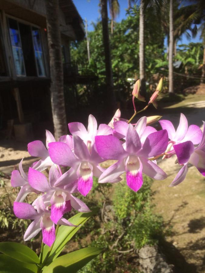 We Call It Rainbow Paradise Hotell Daanbantayan Eksteriør bilde